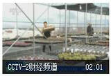 关注“双十一”消费 江苏：“直播经济”带火传统市场