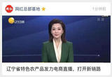 辽宁省特色农产品发力电商直播，打开新销路