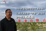 废弃砖窑盐碱地种出百亩桃花源，一个普通人3年可以干成多少事？