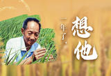 一年了，想他