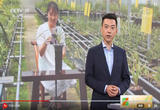 直播销售让兰花“开”到海外