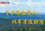 红花尔基：守护绿色青山 织牢万顷松涛