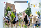 劳动课：学校、家里都要上？