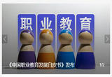 中国形成独具特色现代职业教育发展范式
