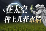 在太空种上几茬水稻，把农场开进太空！