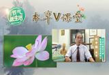 安神美容草芙蓉 秀外慧中用处多