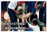 三星堆的秘密 古蜀溯源