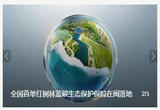 全国首单红树林蓝碳生态保护保险在闽落地