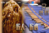 《探索·发现》  匠人·匠心（一百一十六）