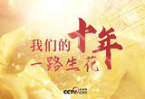 我们的十年一路生花