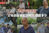 父母的爱情和遗憾，你知道多少？