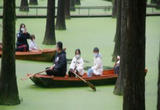 游客游“水上森林”过国庆