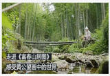 黄公望与《富春山居图》（下）