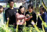 “专业学位硕士”将成未来考研报考主流 详解招生培养现状和未来趋势