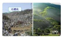 挑战“石漠化”（上）