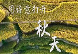 感受山河秋色！当秋天遇上古诗词有多美