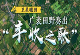 卫星瞰田丨广袤田野奏出“丰收之歌”