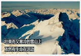 守护栖息地——山高水长（下）
