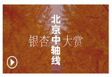 北京中轴线银杏大赏