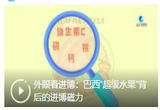 外眼看进博：巴西“超级水果”背后的进博磁力