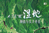 卫星“瞰”湿地，颜值与实力并存