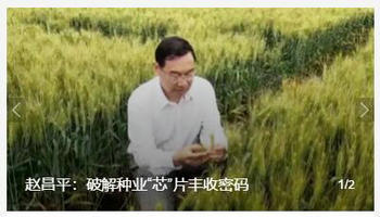 破解种业“芯”片丰收密码