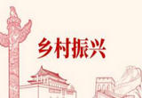 构建“4+N”工作模式助力乡村振兴