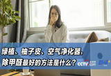 绿植、柚子皮、空气净化器……除甲醛最好的方法是什么？