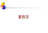 她让“00后”爱上“土里土气”的畜牧学