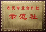 如何认识和发展村党组织领办合作社