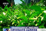“中国传统制茶技艺及其相关习俗”申遗成功 | 武夷岩茶见证两岸茶缘
