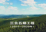 久久为功建造绿色长城