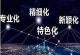 打造更多“隐形冠军”