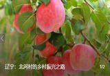 辽宁：北河村的乡村振兴之路