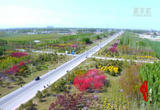 河北高碑店：建设美丽乡村 共享宜居美景