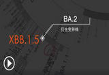 5分钟看懂XBB毒株前世今生