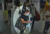 专盯旅客电脑包 高铁“掏心”大盗落网记