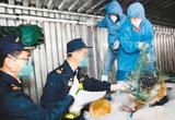 澳门元宵节庆“味道”从这里出发