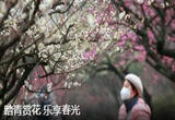 踏青赏花 乐享春光